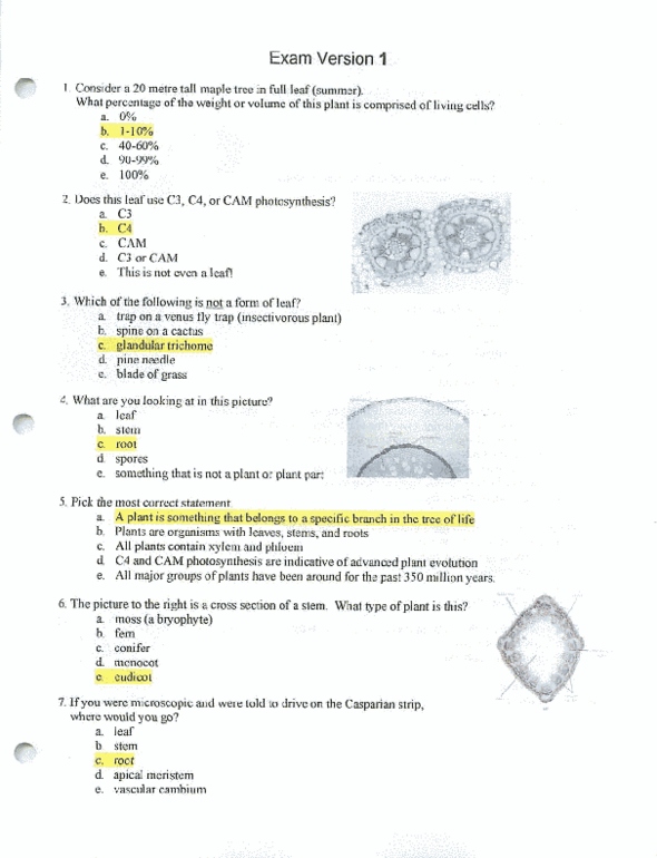 Biol Final Biol Exam Version Self Generated Solution Oneclass