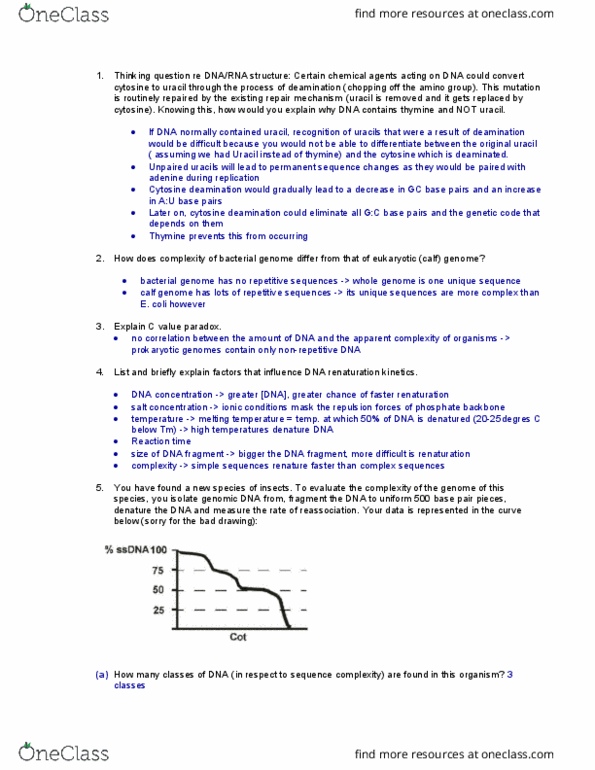 Biol Study Guide Fall Final Dna Supercoil Top Dna