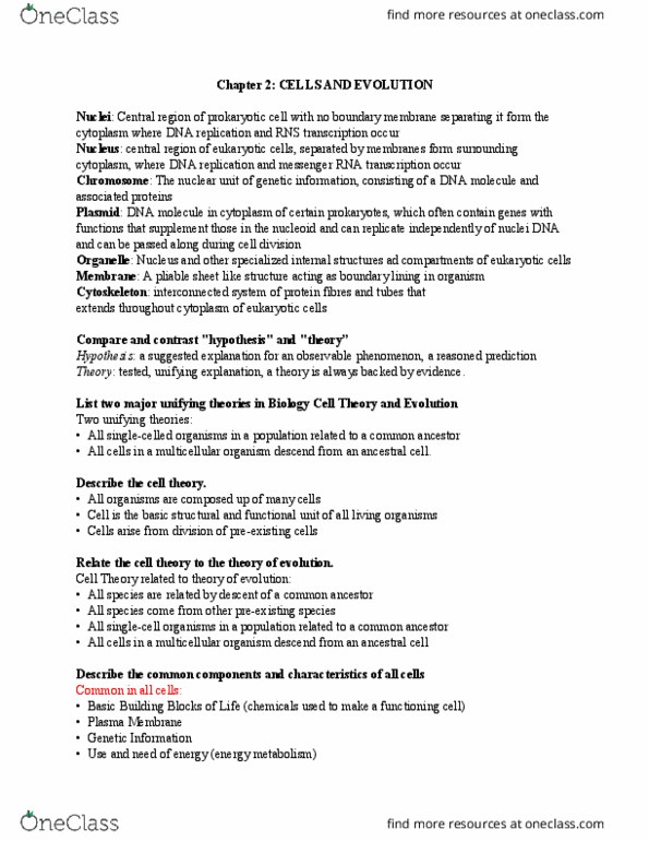 Biol Study Guide Fall Final Dna Replication Cell