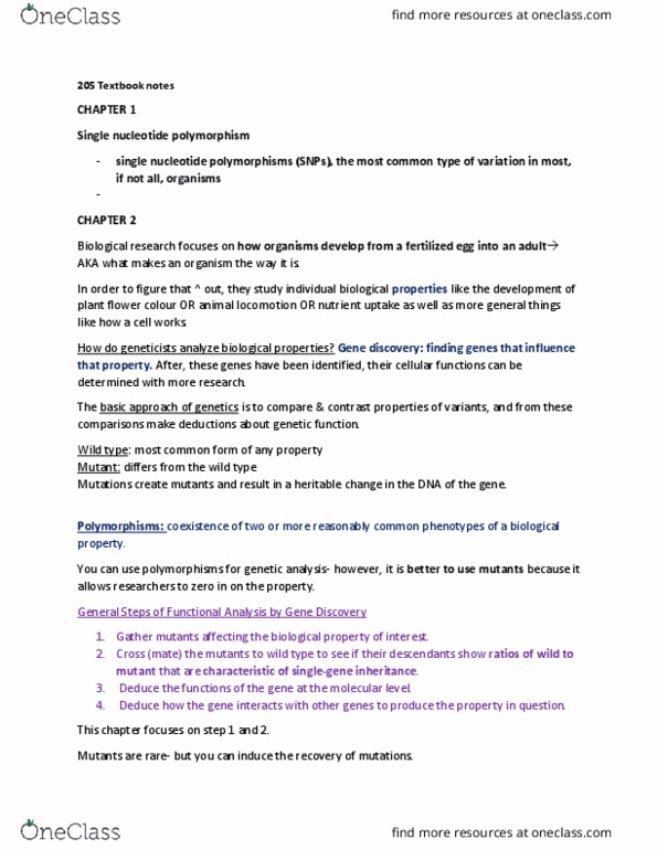 Biol Study Guide Fall Midterm Single Nucleotide