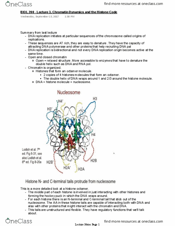 BIOL 200 Lecture 3 BIOL 200 Lecture 3 Chromatin Dynamics And The