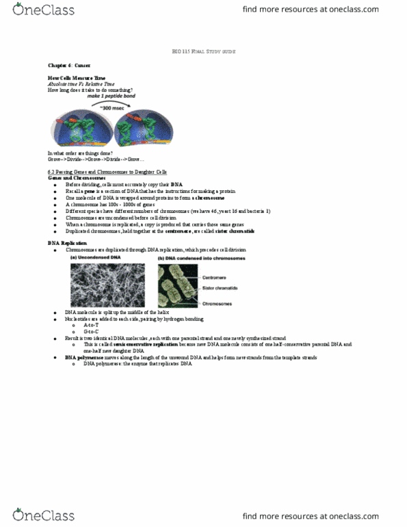 BIOL 115 Final BIO 115 Final Study Guide OneClass