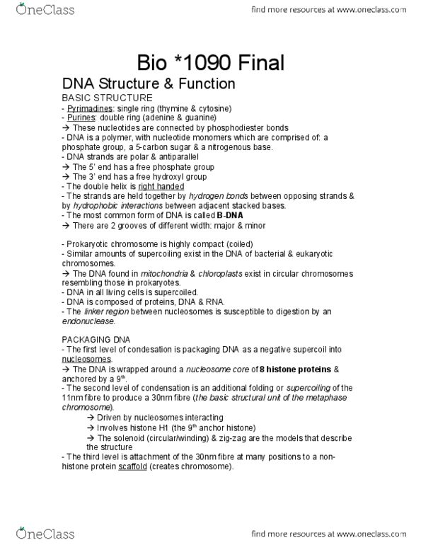 Biol Final Bio Final Exam Doc Oneclass