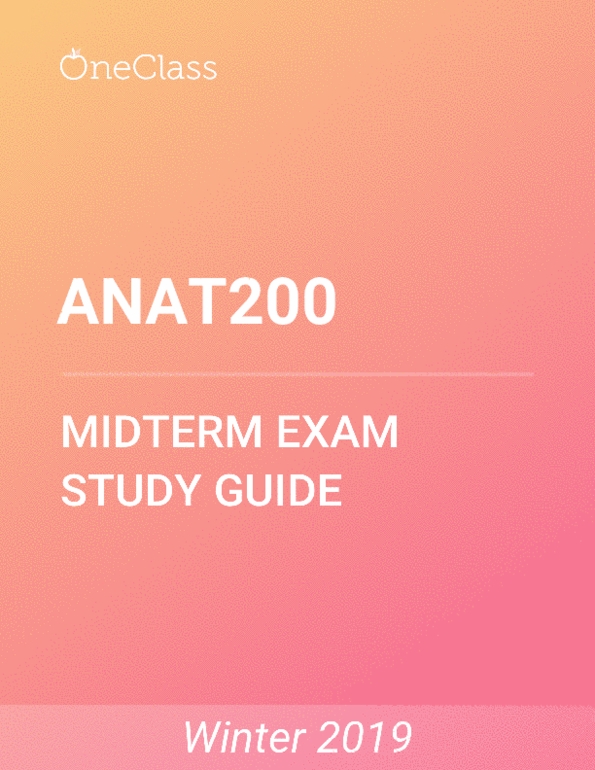 Anat Study Guide Winter Comprehensive Midterm Notes Muscle