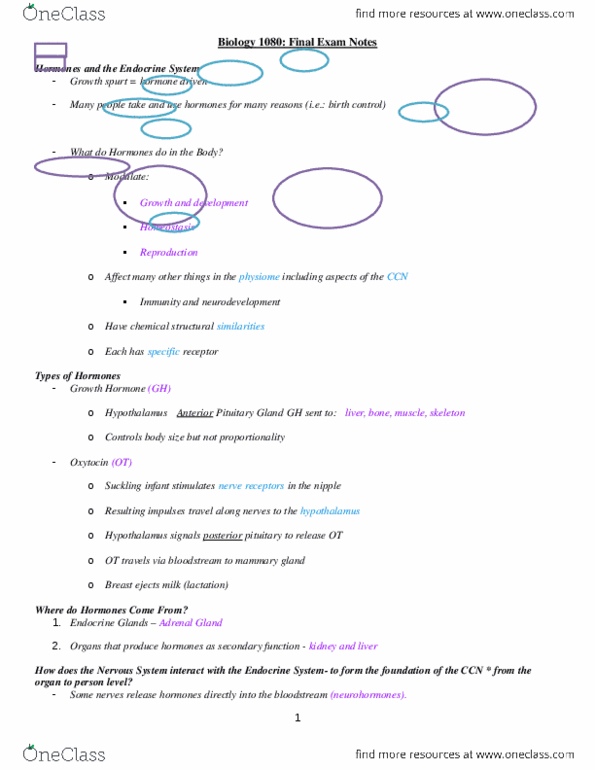 BIOL 1080 Study Guide Winter 2013 Final Venule Anemia Sarcopenia