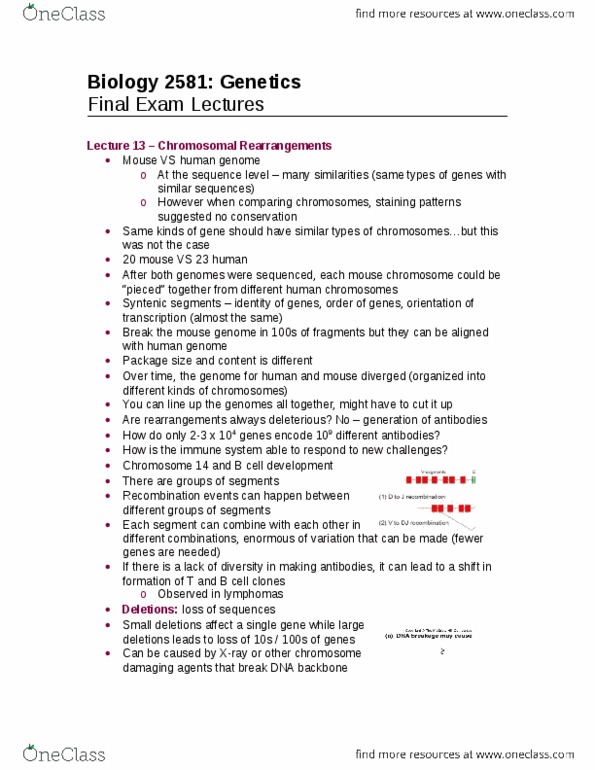 Biology 2581B Study Guide Winter 2014 Final Lac Operon Catabolite