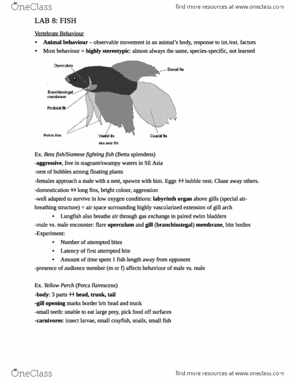 BIOL 111 Study Guide Fall 2011 Siamese Fighting Fish Bottom