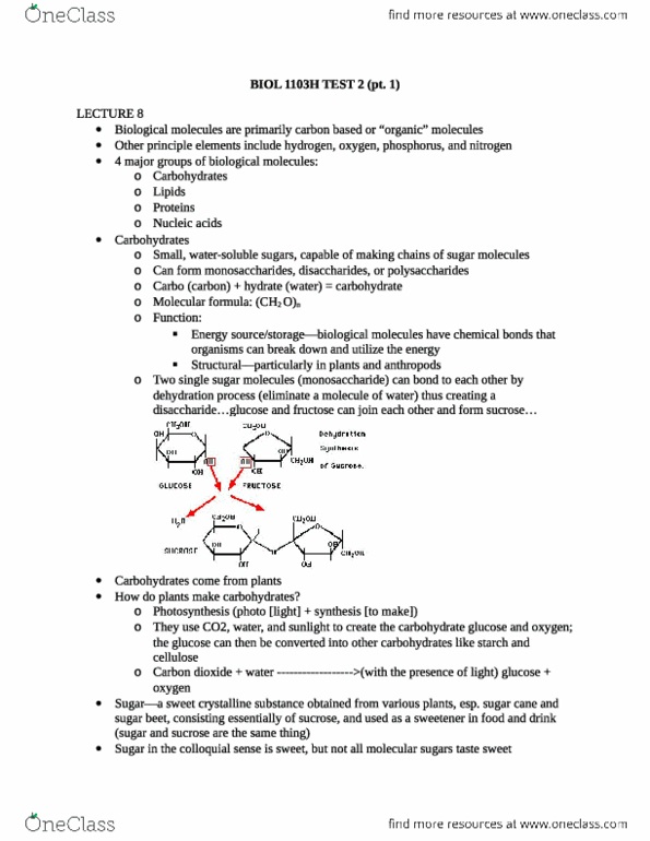 Biol H Final Biol H Test Pt Must Read For Final Oneclass