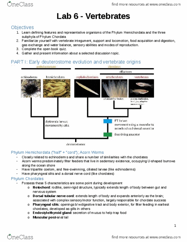 Biol Lab Notes For Final Exam Oneclass