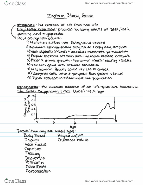 BIOLOGY 197FH Midterm Midterm Notes OneClass