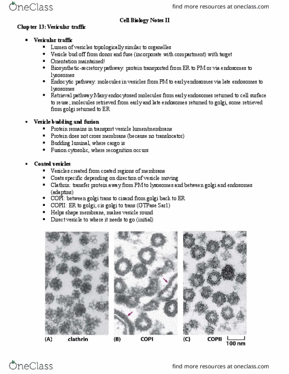 BIOL 2021 Study Guide Summer 2014 Midterm Ldl Receptor Lipid