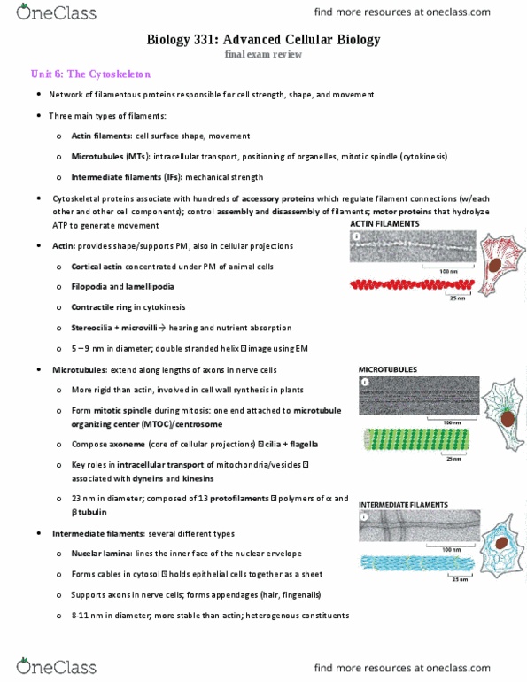 Biol Final Biol Exam Review Oneclass