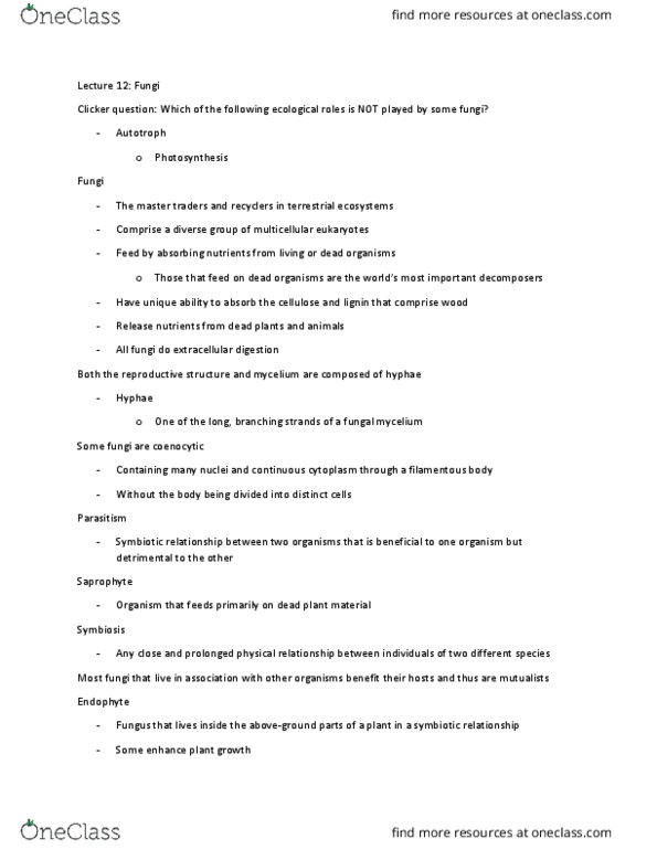 BIO SCI 94 Lecture Notes - Lecture 12: Glycogen, Chitin, Polysaccharide thumbnail