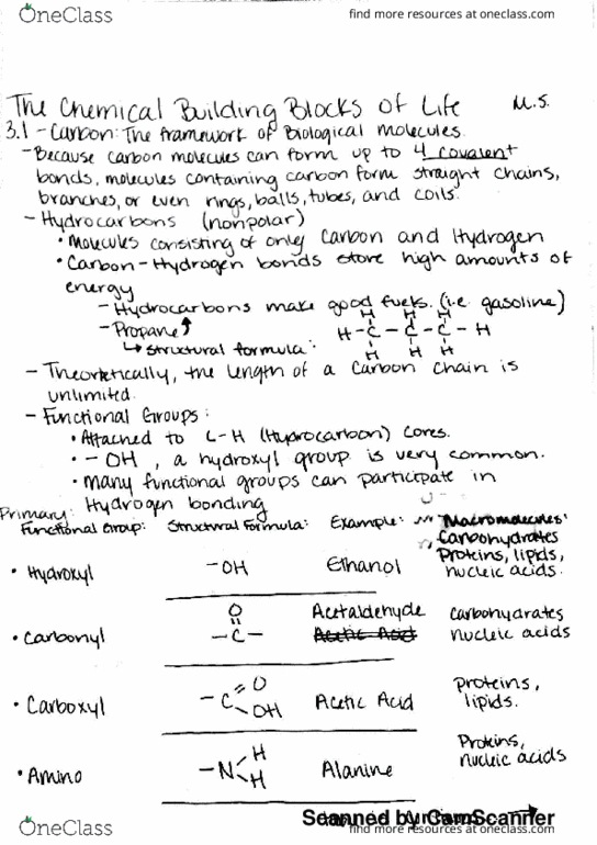 BIOL 1081 Chapter 3.1: 3.1 Carbon, the Framework of Biological Molecules thumbnail