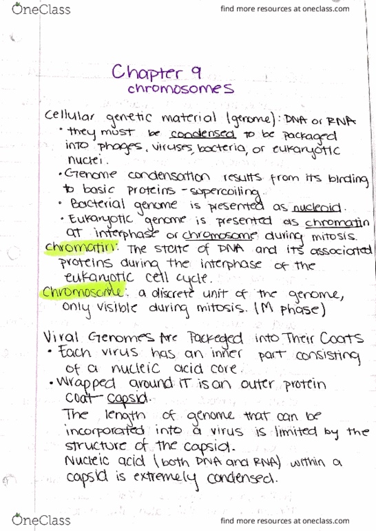 BIOL 4320 Lecture Notes - Lecture 2: Exact Sequence, Histone H2A, Songkok thumbnail