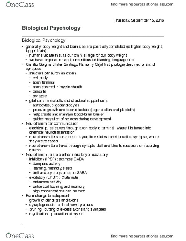 PSYC 100 Lecture Notes - Lecture 4: Axon Terminal, Neuroglia, Synaptogenesis thumbnail