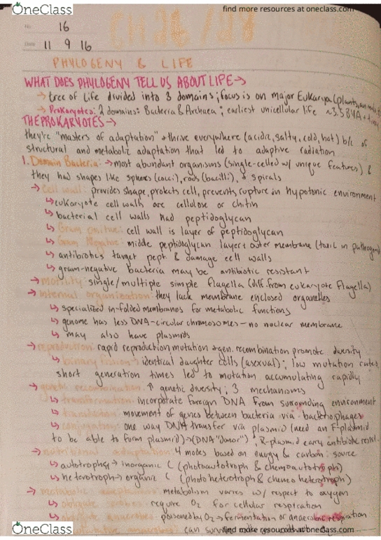 BSC 1011 Lecture Notes - Lecture 6: Ion thumbnail