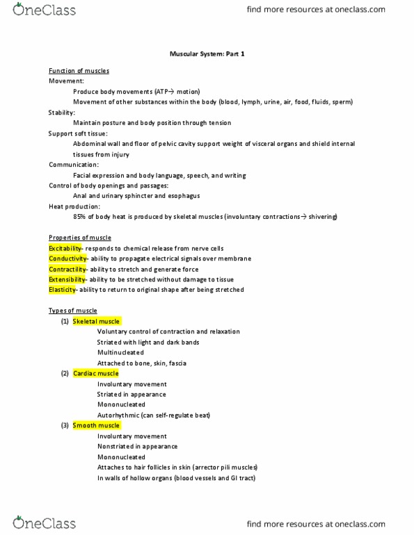 BIOL 129 Lecture Notes - Lecture 6: Arrector Pili Muscle, Skeletal Muscle, Abdominal Wall thumbnail