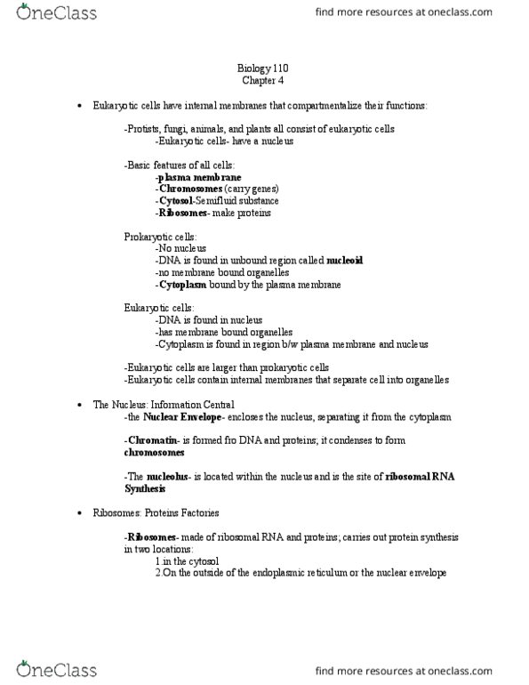 BIOL 110 Lecture Notes - Lecture 8: Cell Membrane, Nucleoid, Cytosol thumbnail