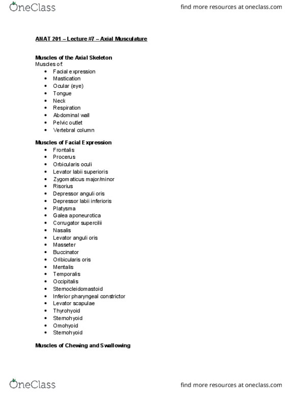 ANAT 201 Lecture Notes - Lecture 7: Inferior Pharyngeal Constrictor Muscle, Levator Scapulae Muscle, Epicranial Aponeurosis thumbnail