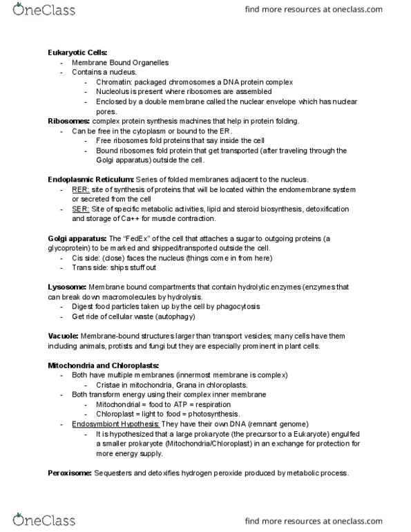 LIFE 102 Lecture Notes - Lecture 2: Golgi Apparatus, Protein Folding, Nuclear Membrane thumbnail