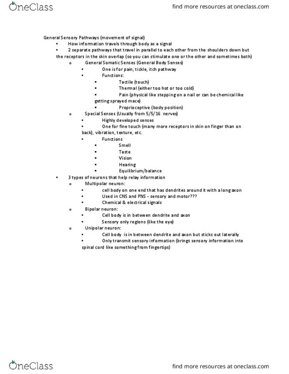 ANAT 102 Lecture Notes - Lecture 6: Itch, Medial Lemniscus, Posterior Grey Column thumbnail