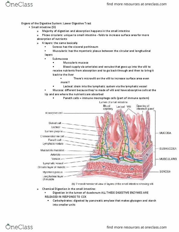 document preview image