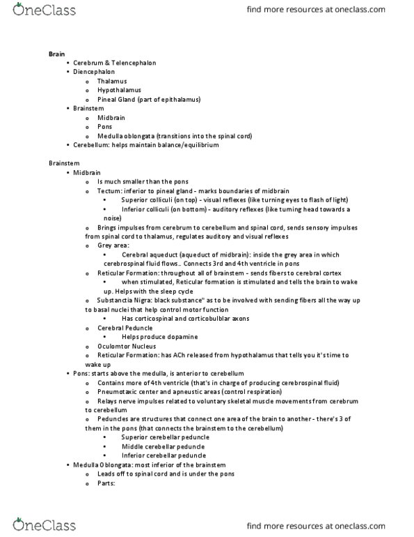 ANAT 102 Lecture Notes - Lecture 3: Heart Rate, Pineal Gland, Vomiting thumbnail