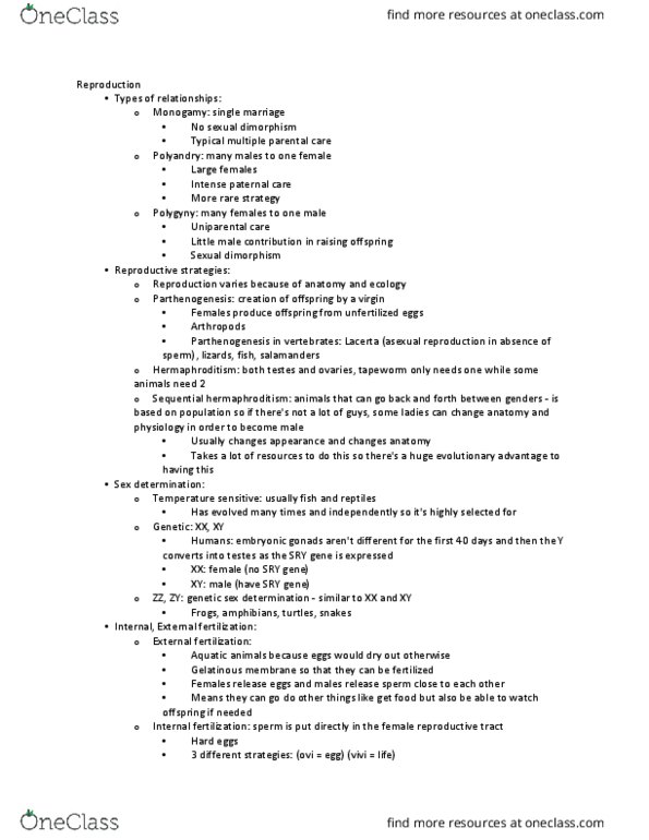 BIO 126 Lecture Notes - Lecture 7: Epididymis, Platypus, Viviparity thumbnail