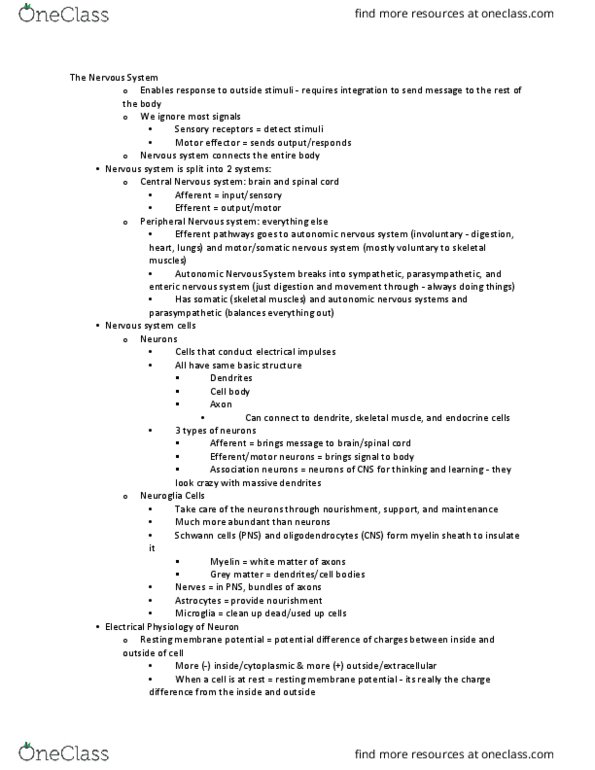 BIO 126 Lecture Notes - Lecture 5: Microglia, Synaptic Vesicle, Schwann Cell thumbnail