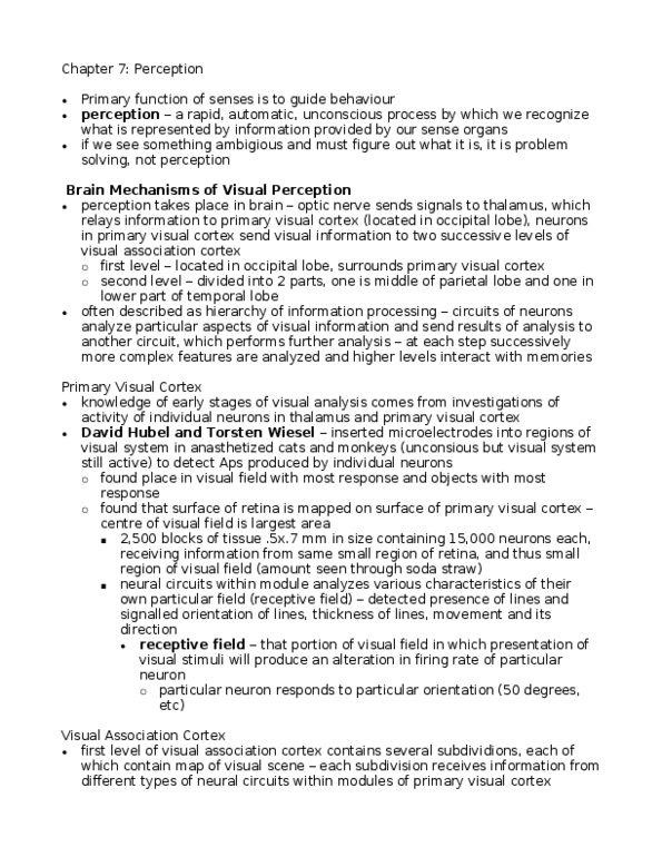 PSYC 371 Lecture Notes - Torsten Wiesel, Occipital Lobe, Visual Cortex thumbnail