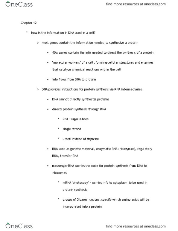 BIOLOGY 1P03 Lecture Notes - Lecture 12: Precursor Mrna, Non-Coding Rna, Start Codon thumbnail