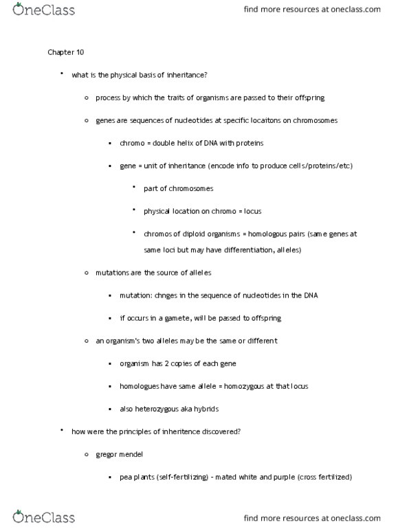 BIOLOGY 1P03 Lecture Notes - Lecture 10: Punnett Square, Wrinkle, Mendelian Inheritance thumbnail