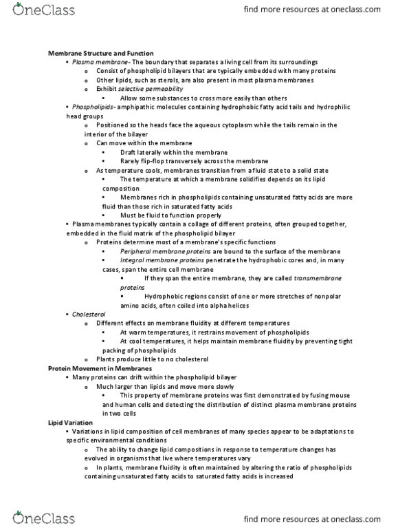 BSC 114 Lecture Notes - Lecture 6: Glycolipid, Signal Transduction, Phagocytosis thumbnail