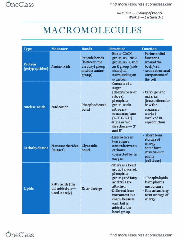 BIOL 112 Lecture Notes - Lecture 5: Ribose, Glycerol, Chemical Polarity thumbnail