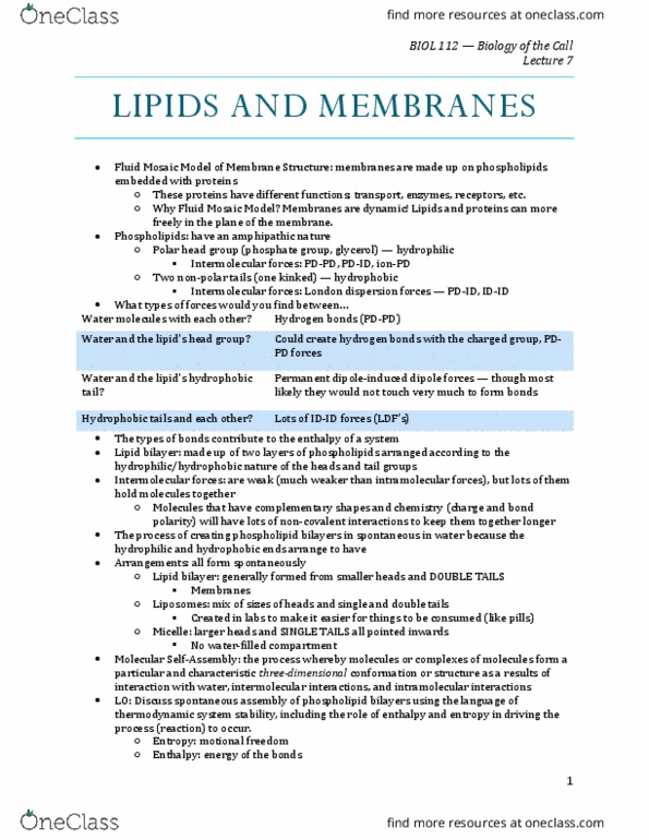 BIOL 112 Lecture Notes - Lecture 7: London Dispersion Force, Glycerol, Chemical Polarity thumbnail