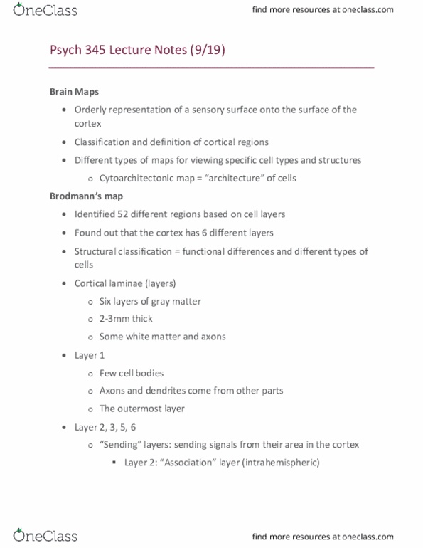 PSYCH 345 Lecture Notes - Lecture 4: List Of Thalamic Nuclei, Motor Cortex, White Matter thumbnail