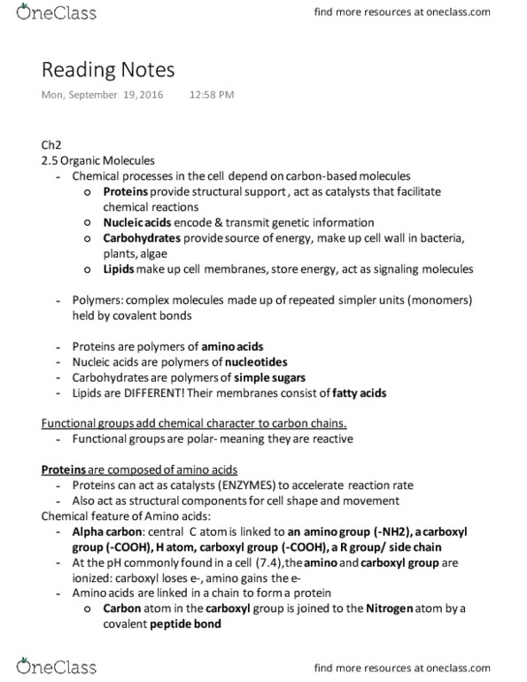 BIOL 112 Chapter Notes - Chapter 2.5: Ribose, Disaccharide, Covalent Bond thumbnail