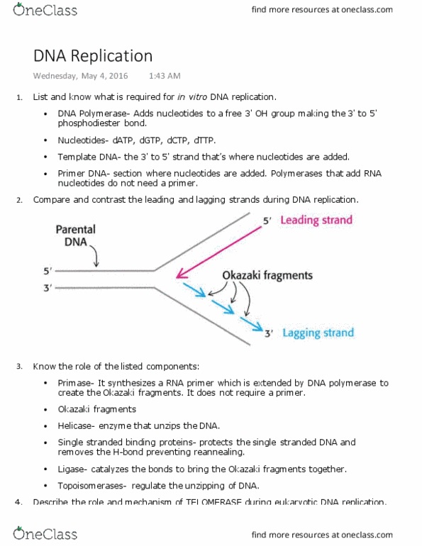 BIO 202 Lecture Notes - Lecture 11: Primase, Eukaryotic Dna Replication, Deoxycytidine Triphosphate thumbnail