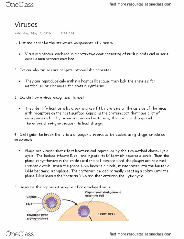 BIO 202 Lecture Notes - Lecture 16: Retrovirus, Reverse Transcriptase, Capsid thumbnail