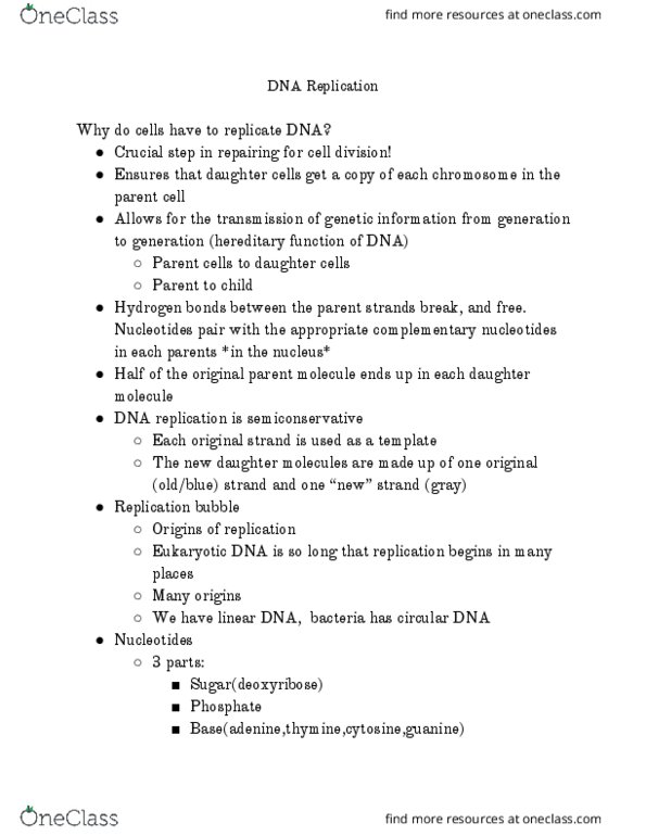 BIOL 190 Lecture Notes - Lecture 3: Ribose, Base Pair, Ribosomal Rna thumbnail