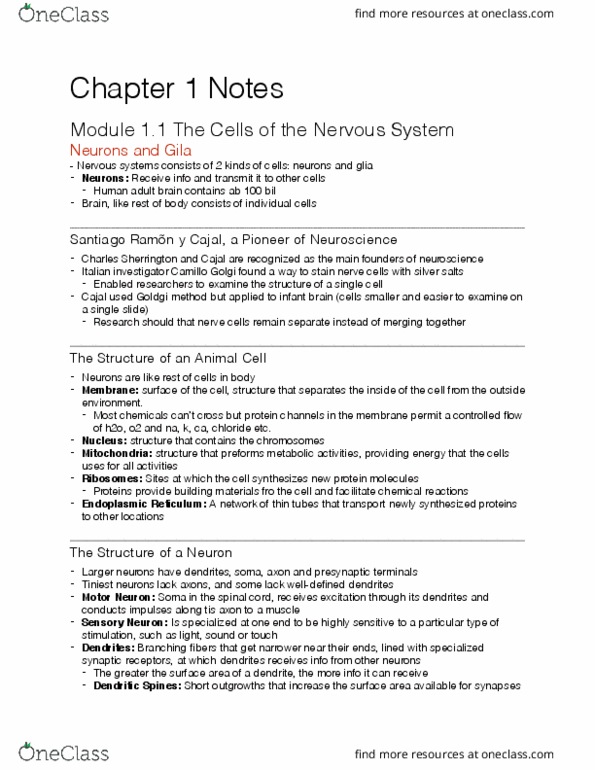 CAS PS 231 Lecture Notes - Lecture 2: Radial Glial Cell, Myelin, Chemical Synapse thumbnail