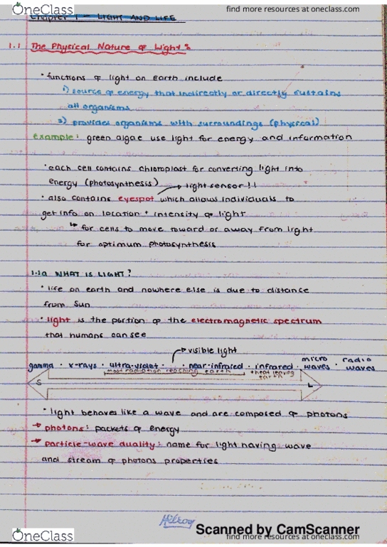 BIOL 1000 Chapter 1.1-1.9: BIO 1000 Textbook Notes - Professor Nivilac's Reading 1: Light and Life (includes info from chapter 45) thumbnail