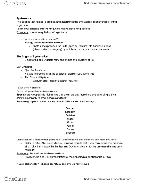 BIO 2137 Lecture Notes - Lecture 3: Paraphyly, Archaea, Plant thumbnail