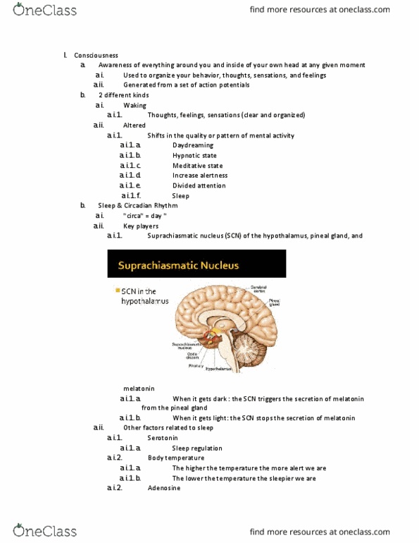PSYC 2000 Lecture Notes - Lecture 6: Pineal Gland, Fatal Familial Insomnia, Microsleep thumbnail