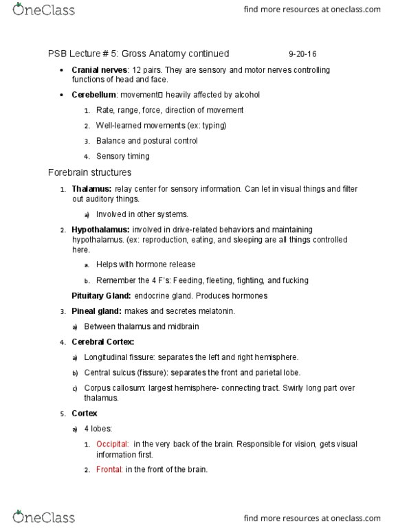 PSB-2000 Lecture Notes - Lecture 5: Auditory Cortex, Meninges, Postcentral Gyrus thumbnail