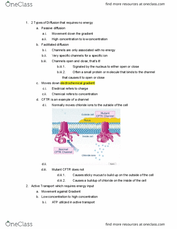 BIO-0013 Lecture Notes - Lecture 5: Sec61, Chemical Formula, Electrochemical Gradient thumbnail