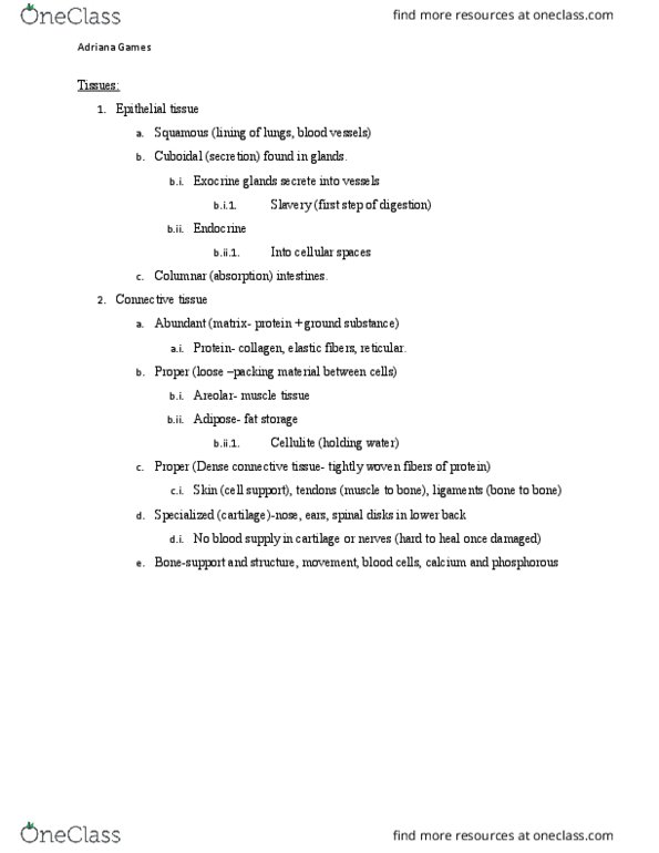 BISC106 Lecture Notes - Lecture 4: Muscle Tissue, Ground Substance, Nervous Tissue thumbnail
