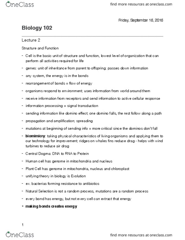 BIOL 102 Lecture Notes - Lecture 2: Biomimetics, Signal Transduction, Chloroplast thumbnail