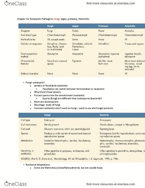 BIO 226 Lecture Notes - Lecture 8: Plasmogamy, Trichophyton, Blastomyces Dermatitidis thumbnail